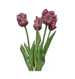 Purple Parrot Tulip Bundle 20"