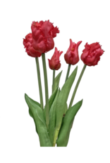 Dark Pink Parrot Tulip Bundle 20"
