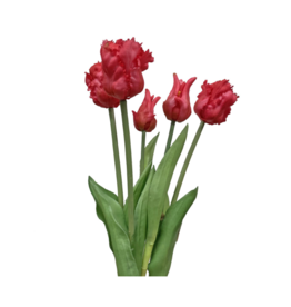 Dark Pink Parrot Tulip Bundle 20"