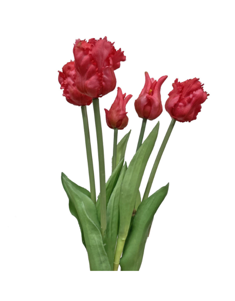 Dark Pink Parrot Tulip Bundle 20"