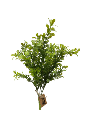 Boxwood Bush 14"