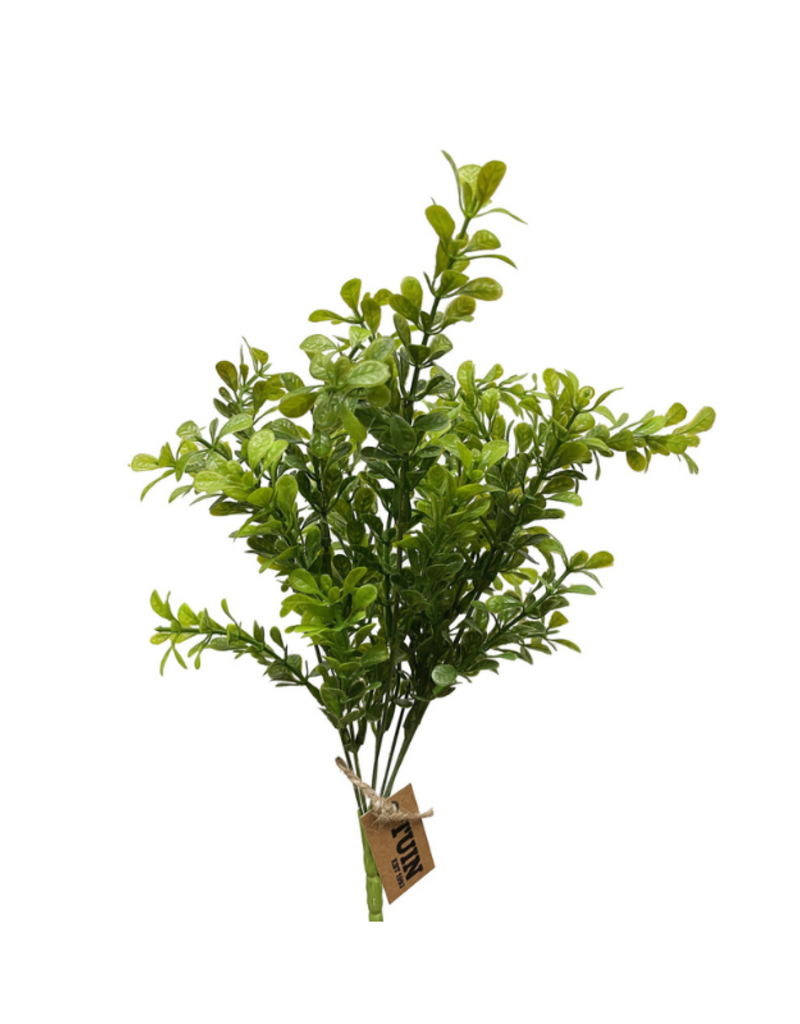 Boxwood Bush 14"