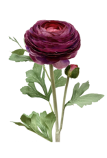 Purple Ranunculus Spray 23"