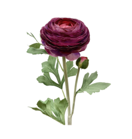 Purple Ranunculus Spray 23"