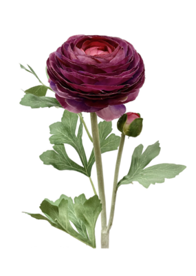Purple Ranunculus Spray 23"
