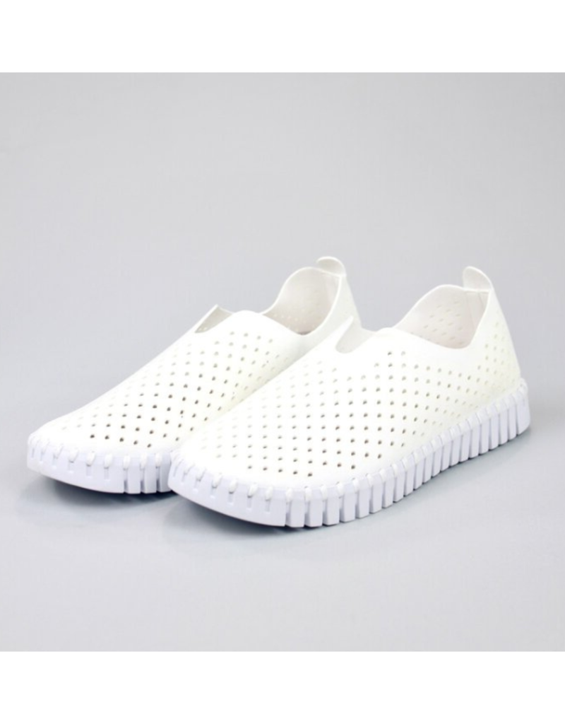 Ilse Jacobsen Tulip Flats in White by Ilse Jacobsen