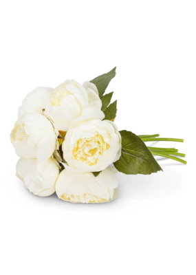 Full Peony Bouquet in White