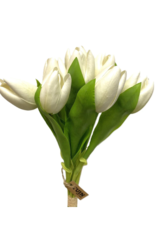 White Tulip Single