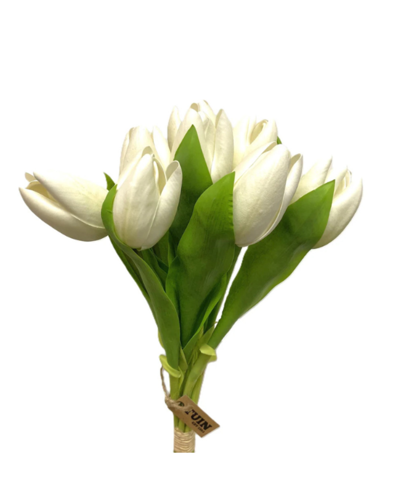 White Tulip Single