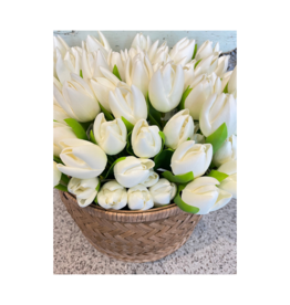 White Tulip Single