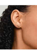PILGRIM Lysandra Earrings in Gold by Pilgrim