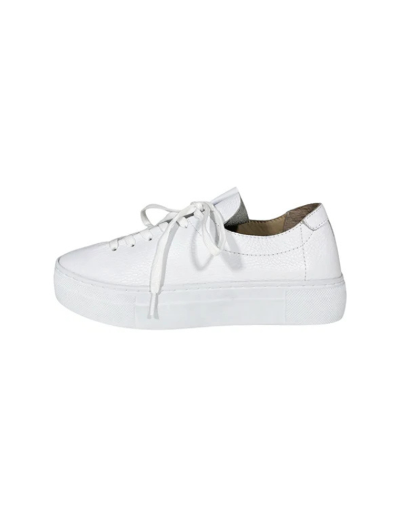 Vince Sneaker in White by Ateliers