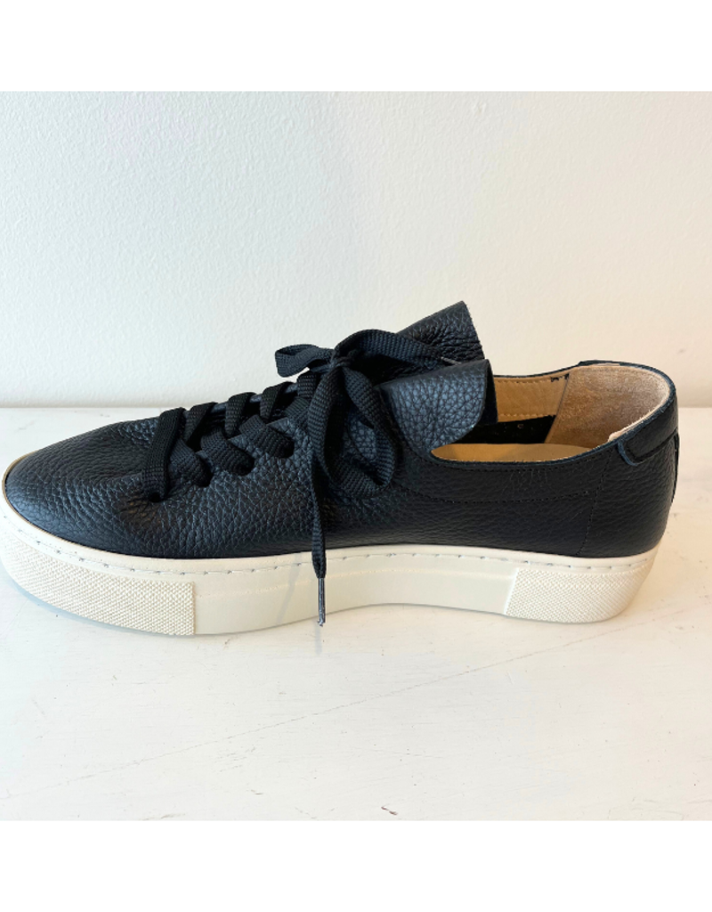 Vince Sneaker in Black by Ateliers