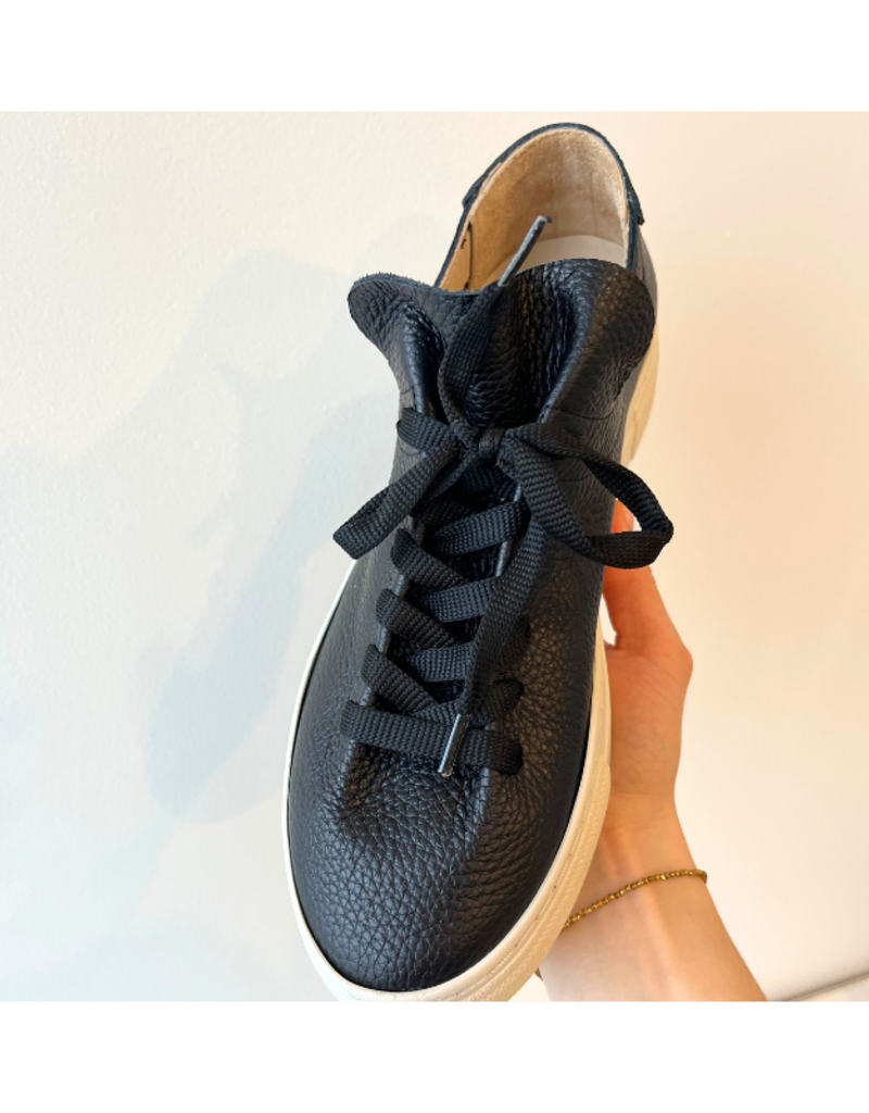 Vince Sneaker in Black by Ateliers