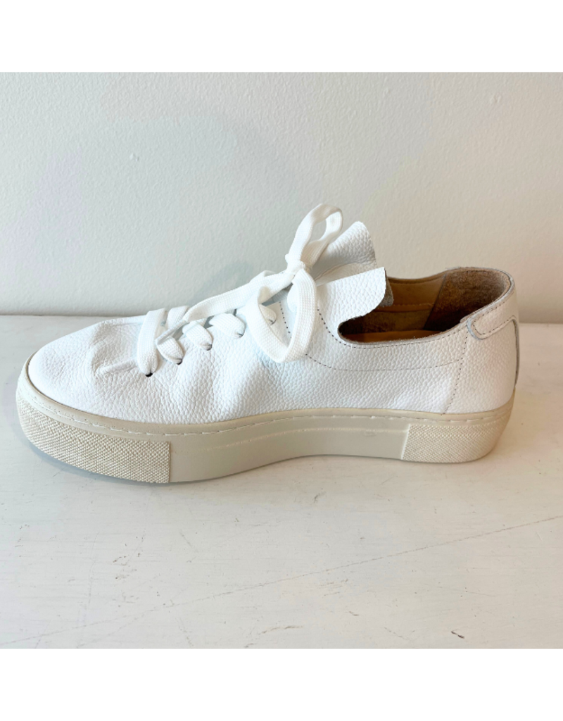 Vince Sneaker in White by Ateliers