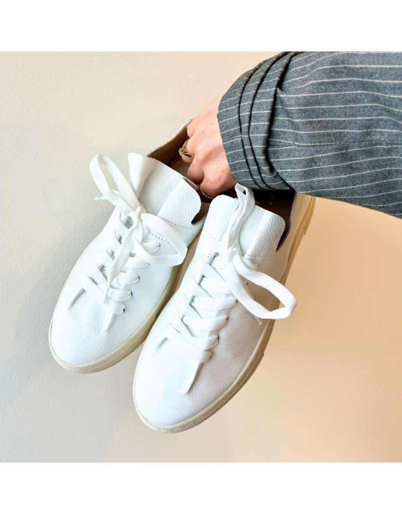 Vince Sneaker in White by Ateliers