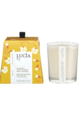 Lucia Lucia 50hr Soy Candle Tea Leaf & Honey