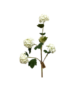 Snowball Spray White 30"