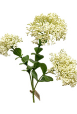 Blooming Sedum Spray in Cream 23"