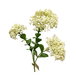Blooming Sedum Spray in Cream 23"