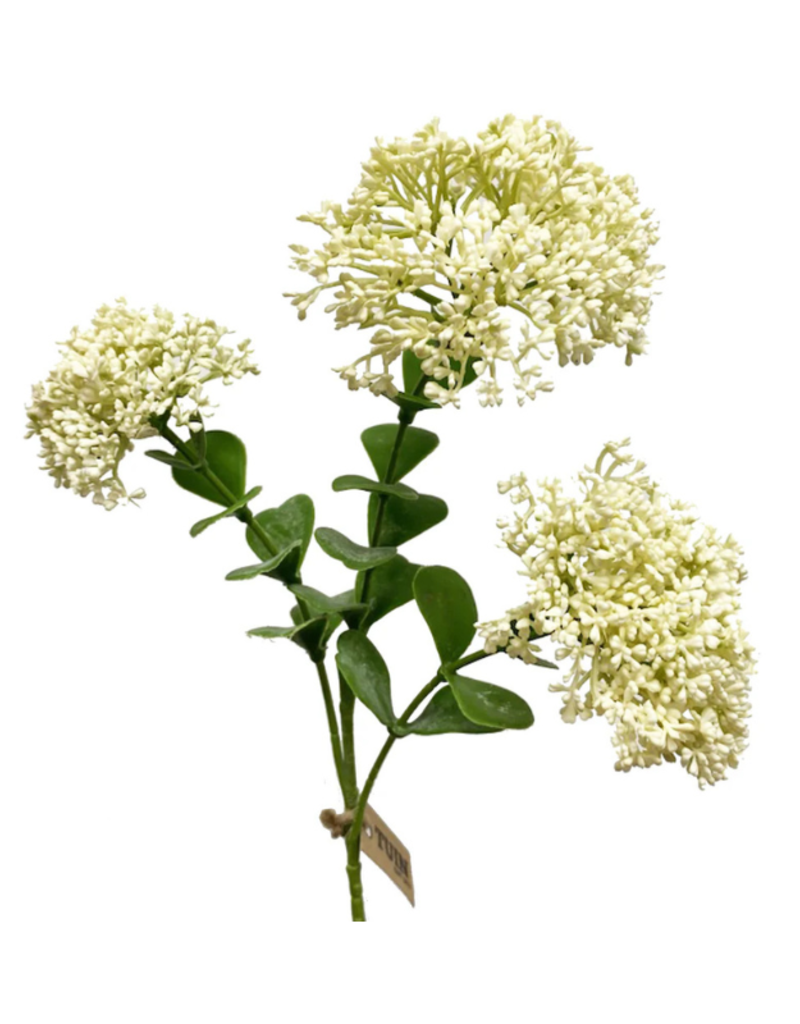 Blooming Sedum Spray in Cream 23"
