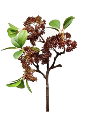 Burgundy Seeded Ficus Spray 17"