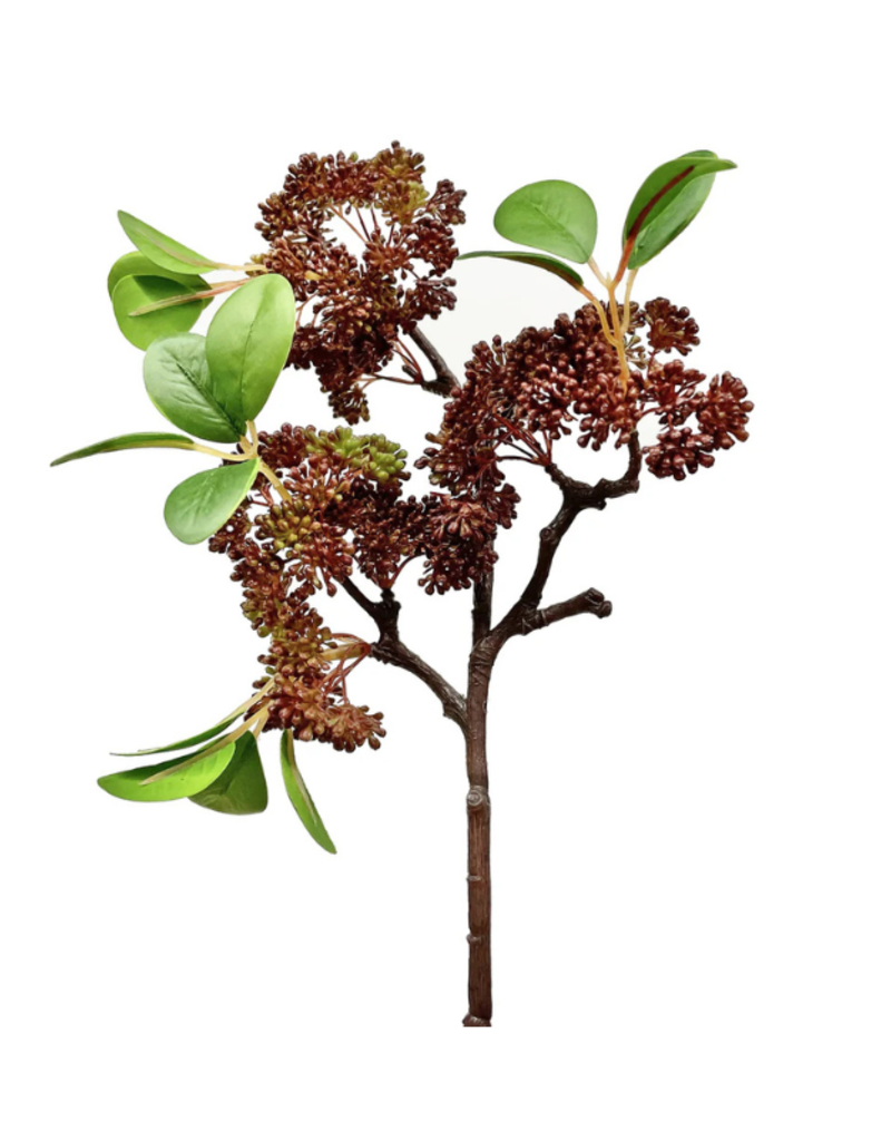Burgundy Seeded Ficus Spray 17"