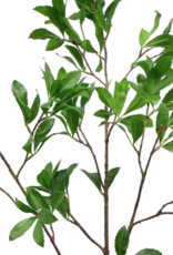 Sweet Gum Spray 43"