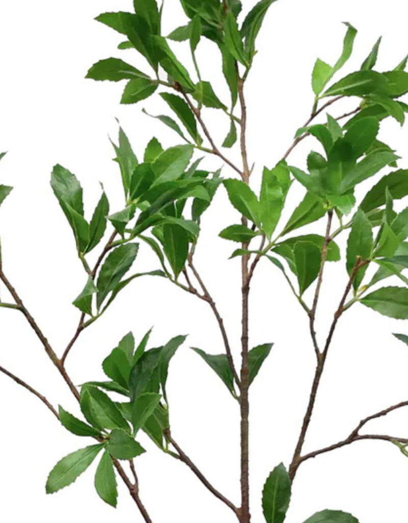 Sweet Gum Spray 43"