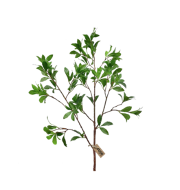 Sweet Gum Spray 43"