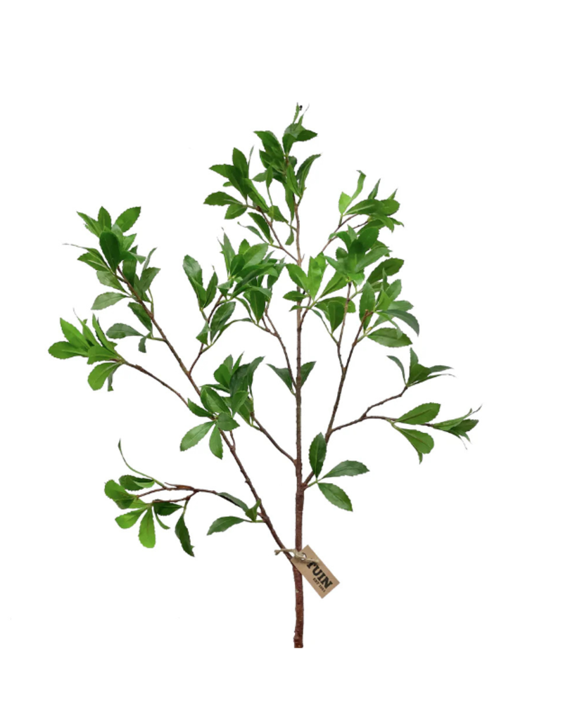 Sweet Gum Spray 43"