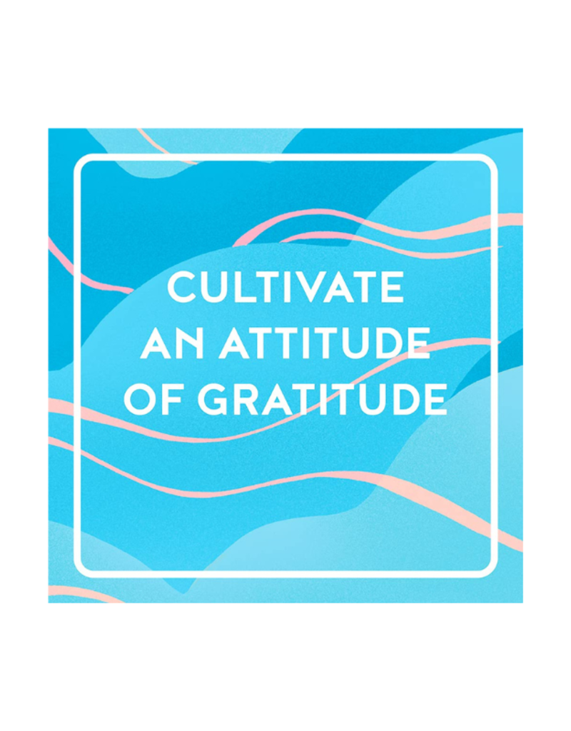 Raincoast Books Gratitude One Line a Day Book