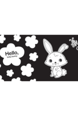 Raincoast Books Hello, Baby Animals Book