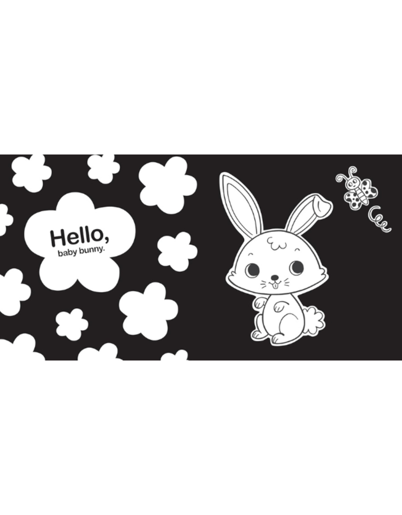 Raincoast Books Hello, Baby Animals Book
