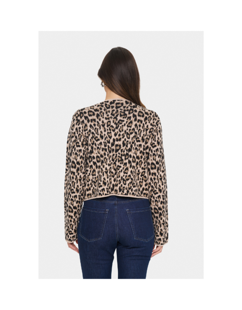 Saint Tropez Lydia Cardigan in Black Leopard by Saint Tropez