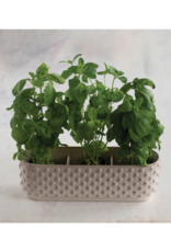Creative Co-Op Hobnail Window Planter