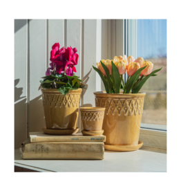 Bacon Basketware Ltd Beige Embossed Planter with Saucer