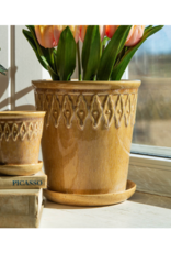 Bacon Basketware Ltd Beige Embossed Planter with Saucer
