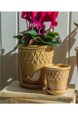 Bacon Basketware Ltd Beige Embossed Planter with Saucer