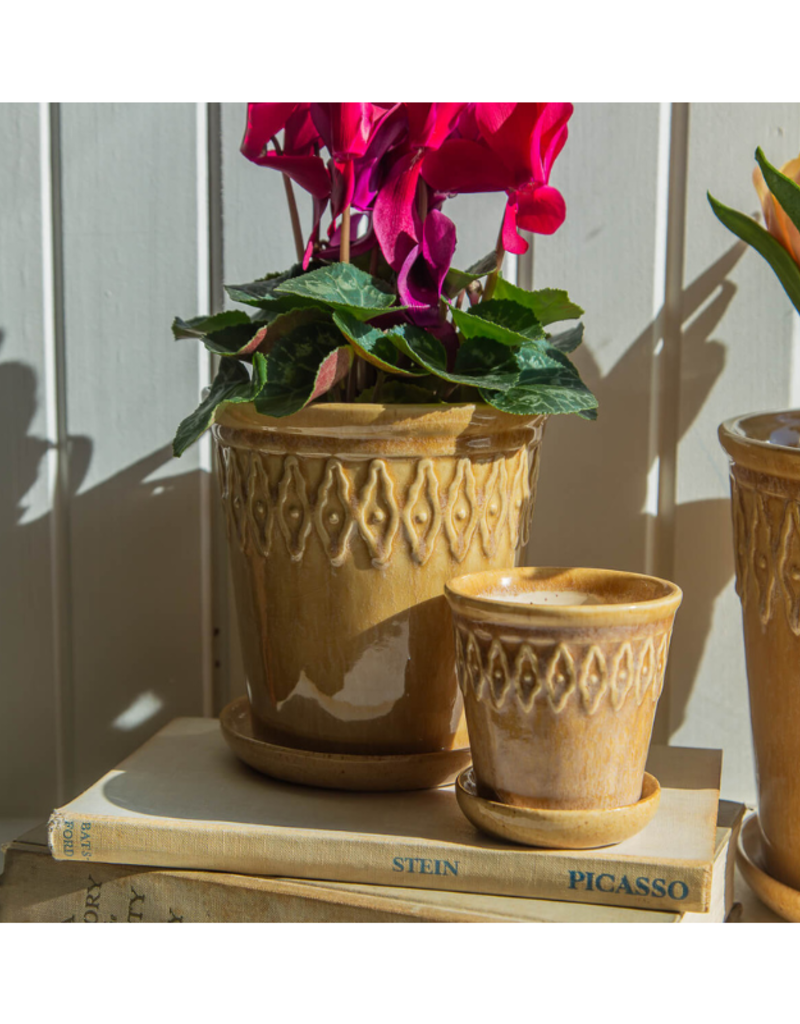 Bacon Basketware Ltd Beige Embossed Planter with Saucer