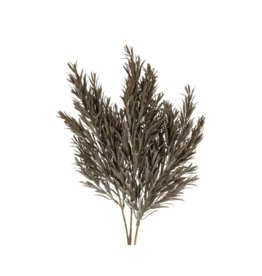 Indaba Trading Grey Honey Bracelet Floral Spray