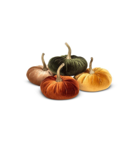 Velvet Pumpkin