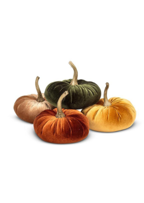 Velvet Pumpkin