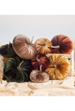 Velvet Pumpkin