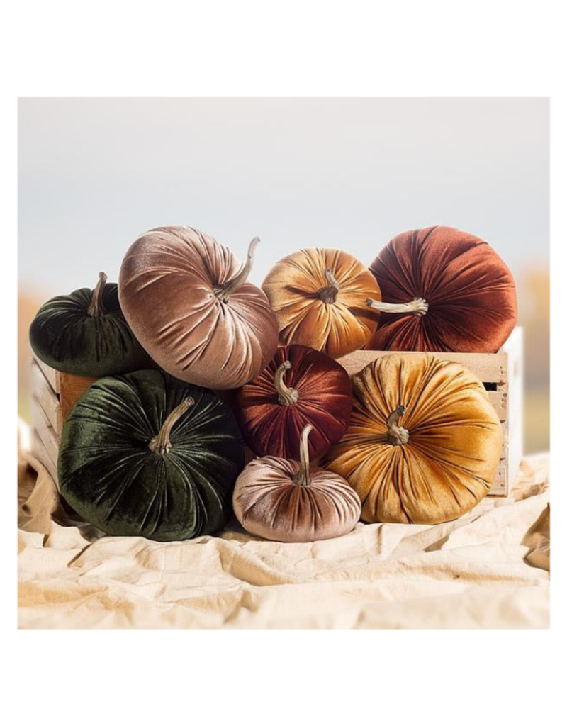 Velvet Pumpkin