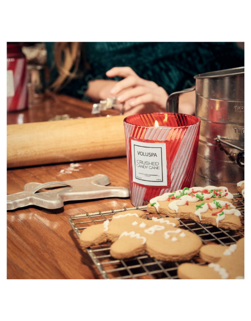 Voluspa Classic Candle in Crushed Candy Cane by Voluspa