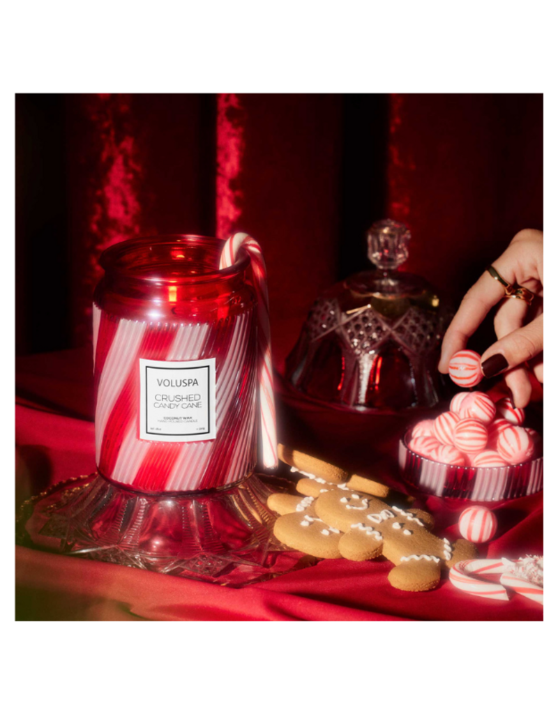 Voluspa Large Jar Candle in Crushed Candy Cane by Voluspa
