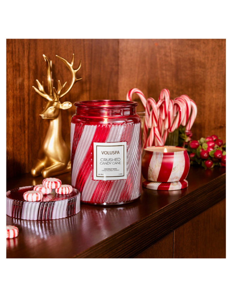 Voluspa Large Jar Candle in Crushed Candy Cane by Voluspa