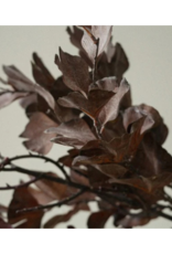 Indaba Trading Ginkgo Leaves Branch in Brown