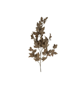 Indaba Trading Maple Leaf Branch in Grey